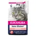 Eukanuba Senior Grain Free riche en saumon pour chat