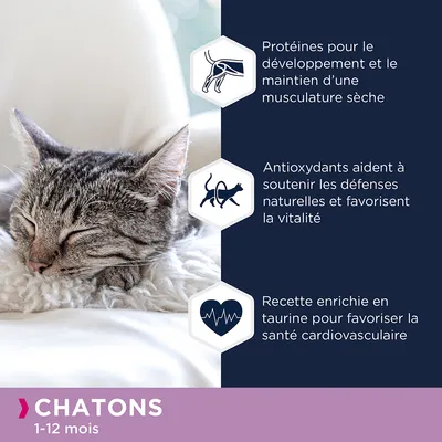 Chaton endormi, texte : protéines pour le développement musculaire, antioxydants soutiennent les défenses naturelles, recette enrichie en taurine pour la santé cardiovasculaire. Chatons 1–12 mois.