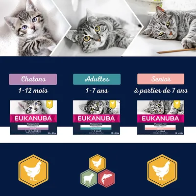 EUKANUBA pâtée pour chats : chatons 1–12 mois, adultes 1–7 ans, senior à partir de 7 ans. Trois boîtes visibles avec photos de chats et pictogrammes poulet, agneau, bœuf.