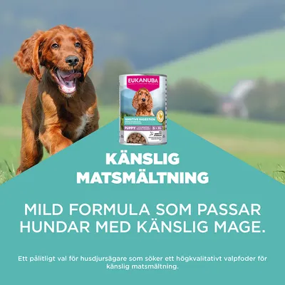 Eukanuba Special Care Puppy Sensitive Digestion