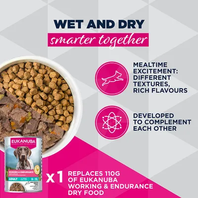 Eukanuba Working & Endurance märkäruoka korvaa 110 g kuivaruokaa. Edut: erilaiset koostumukset, runsaat aromit, kehitetty täydennykseksi. Kuvassa: kulho, jossa on märkä- ja kuivaruokaa. Eukanuba Working & Endurance märkäruoka korvaa 110 g kuivaruokaa. Edut: erilaiset koostumukset, runsaat aromit, kehitetty täydennykseksi. Kuvassa: kulho, jossa on märkä- ja kuivaruokaa.