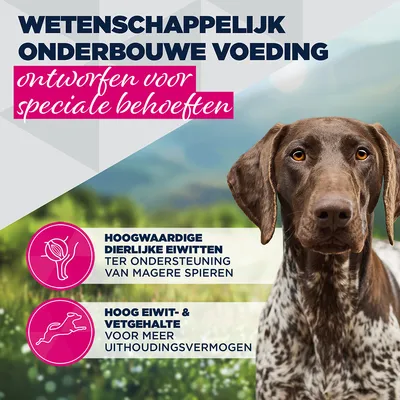 Eukanuba Special Care Adult Working & Endurance