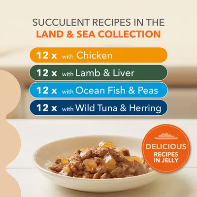 Land & Sea Collection: 12 with Chicken, 12 with Lamb & Liver, 12 with Ocean Fish & Peas, 12 with Wild Tuna & Herring. Delicious recipes in jelly shown in a bowl.