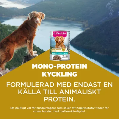 Eukanuba Special Care Adult Mono-Protein med kyckling
