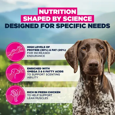 Eukanuba Special Care Working & Endurance Adult