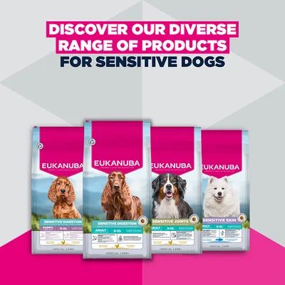 Eukanuba Special Care Sensitive Skin Adult