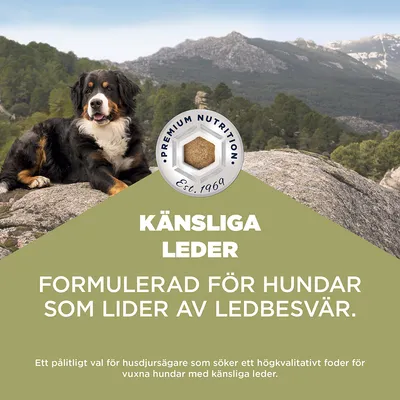 Eukanuba Special Care Sensitive Joints Adult