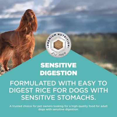 Eukanuba Special Care Sensitive Digestion Adult