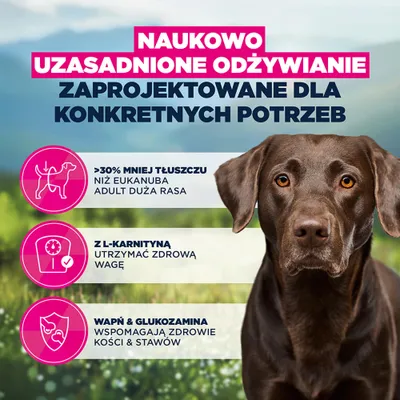 Eukanuba Special Care Weight Control Adult Large