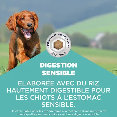 Eukanuba Special Care Sensitive Digestion Puppy poulet, dinde