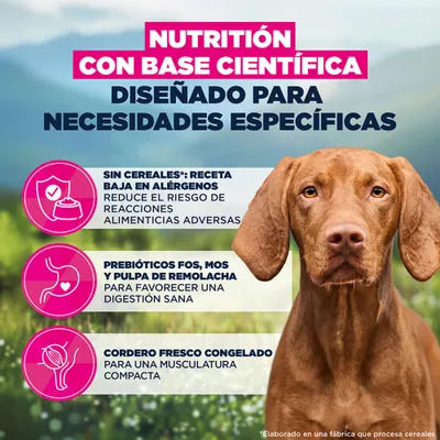 Eukanuba Special Care Mono-Protein Adult Cordero