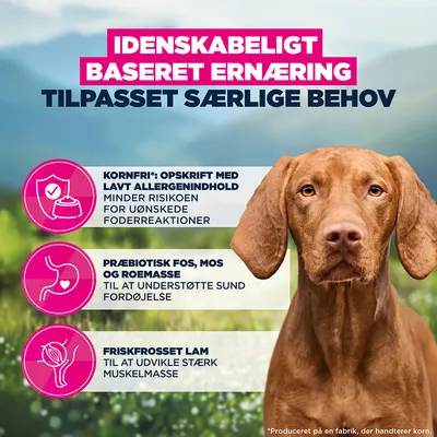 Eukanuba Special Care Mono-Protein Adult Lam