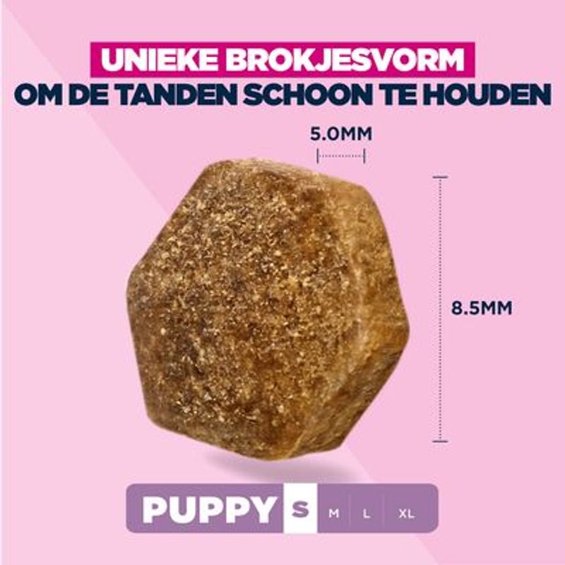 Eukanuba Premium Nutrition Puppy Klein Ras Kip