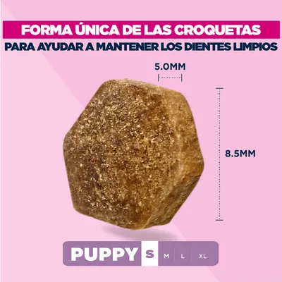 Eukanuba Premium Nutrition Puppy Small Breed pollo