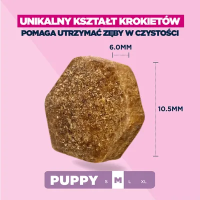 Eukanuba Premium Nutrition Puppy Medium Breed, kurczak