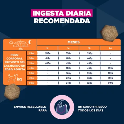 Eukanuba Premium Nutrition Junior Large & Giant Breed pollo