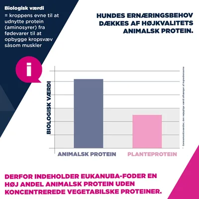Eukanuba Premium Nutrition Junior Large & Giant Breed Kylling