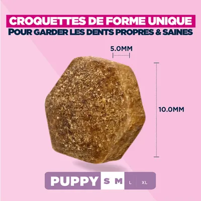Eukanuba Premium Nutrition Puppy Small et Medium Breed Agneau et Riz