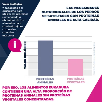 Eukanuba Premium Nutrition Senior Large & Giant Breed cordero y arroz