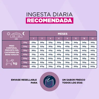 Eukanuba Premium Nutrition Puppy Large & Giant Breed cordero y arroz