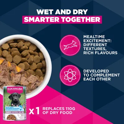 Eukanuba Premium Nutrition Puppy Large & Giant Breed karitsa & riisi