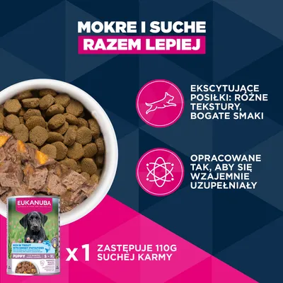 Eukanuba Premium Nutrition Puppy Large & Giant Breed, jagnięcina i ryż