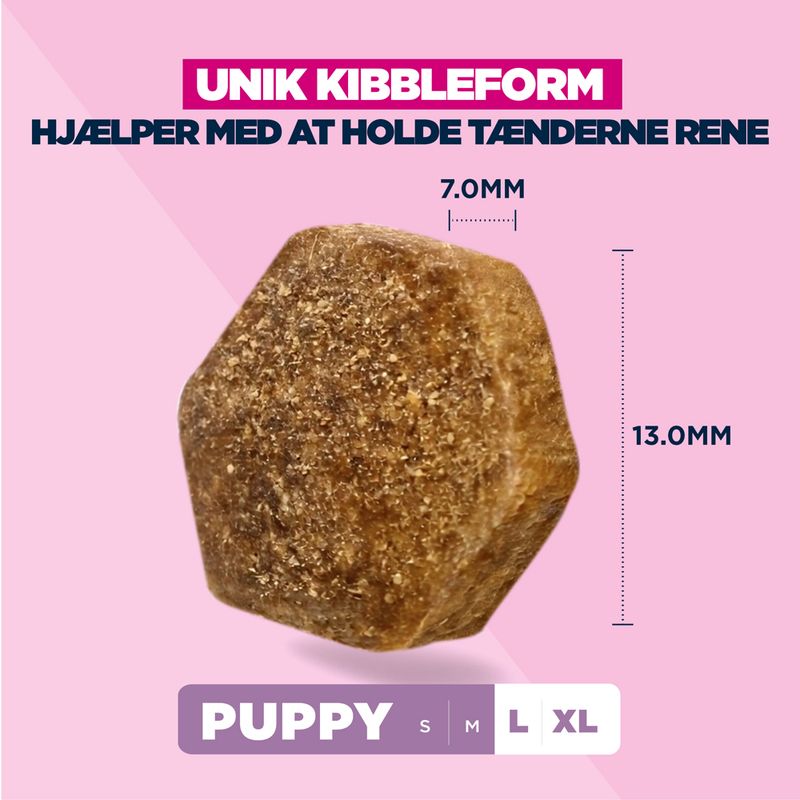 Eukanuba Premium Nutrition Puppy Large & Giant Breed Lam & Ris