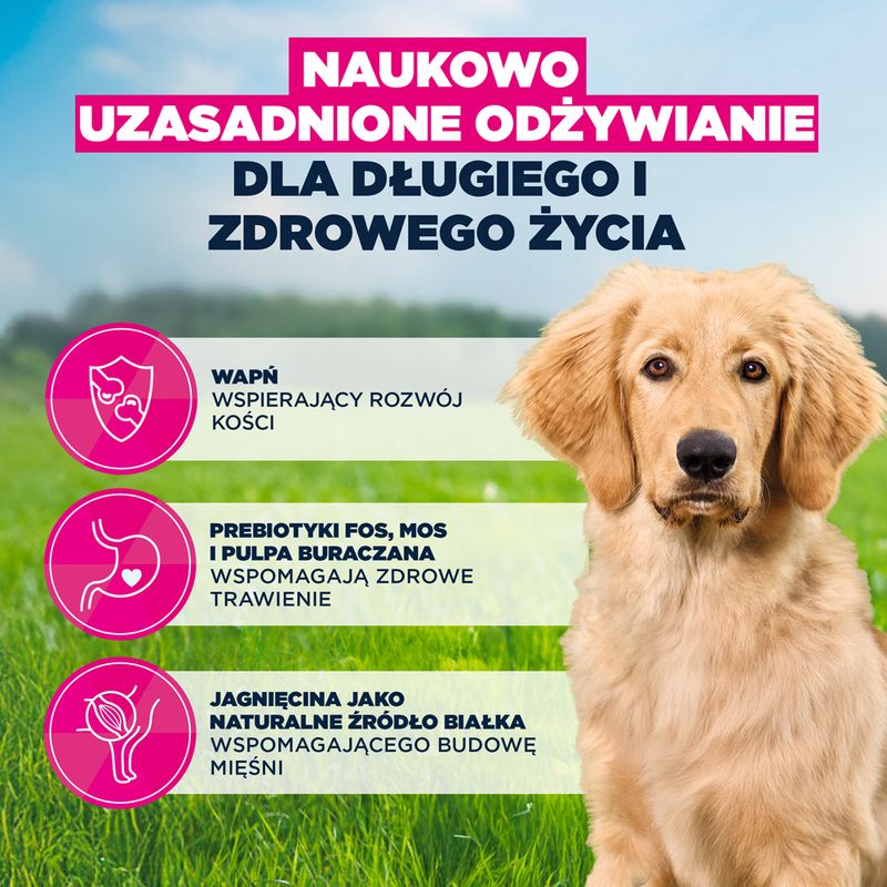 Eukanuba Premium Nutrition Puppy Large & Giant Breed, jagnięcina i ryż