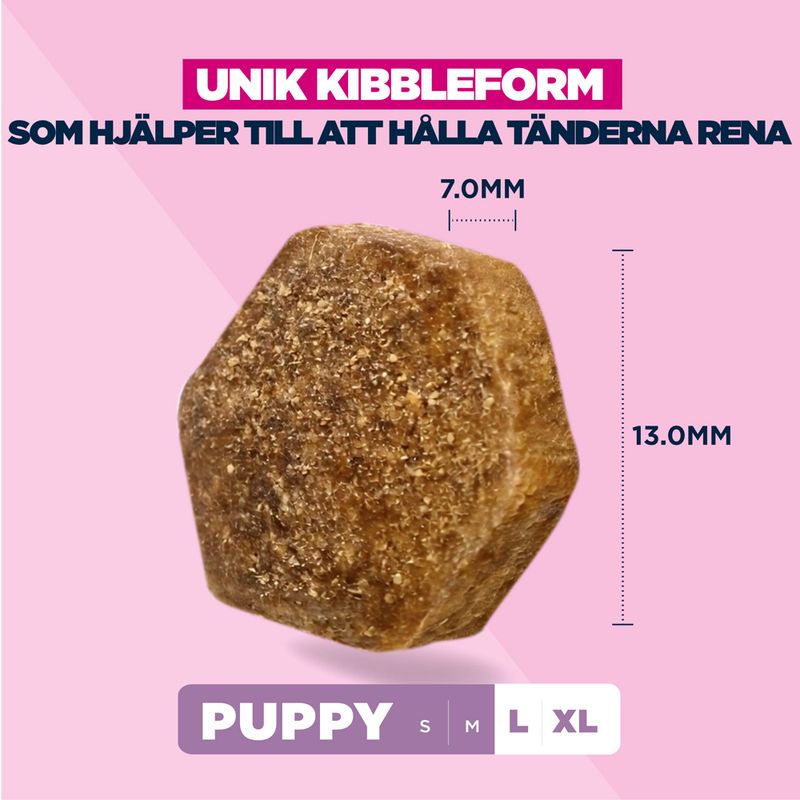 Eukanuba Puppy Large & Giant Breed Lamb & Rice