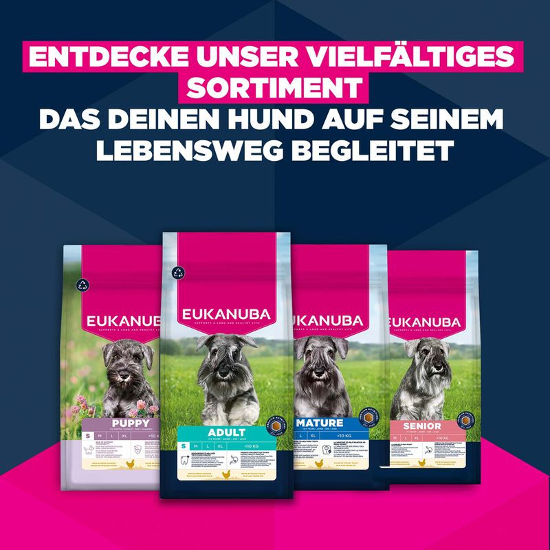 Eukanuba Premium Nutrition Adult Small Breed piščanec