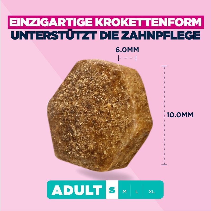 Eukanuba Premium Nutrition Adult Small Breed piščanec