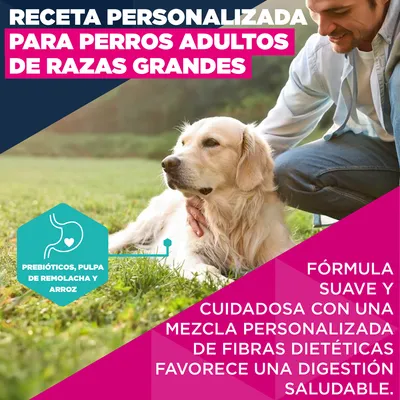 Eukanuba Premium Nutrition Adult Large & Giant Breed cordero y arroz