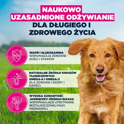 Eukanuba Premium Nutrition Adult Large & Giant Breed, jagnięcina i ryż