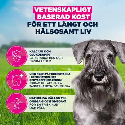 Eukanuba Premium Nutrition Mature Small Breed Chicken