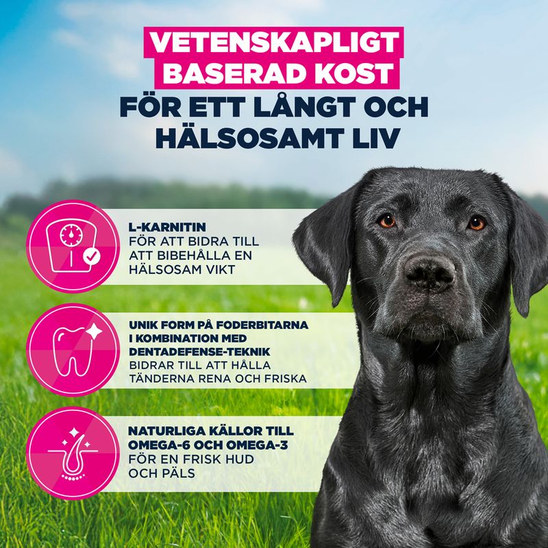 Eukanuba Premium Nutrition Mature Large & Giant Breed Chicken