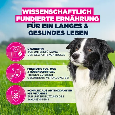 Eukanuba Premium Nutrition Senior Medium Breed Huhn