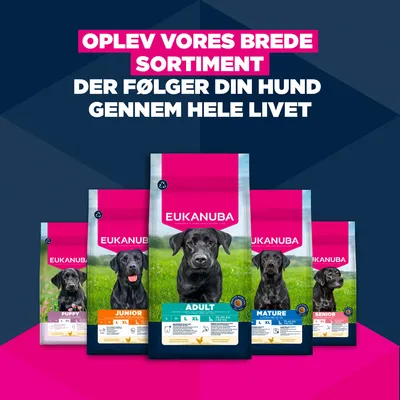 Eukanuba Premium Nutrition Senior Large & Giant Breed Kylling