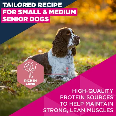 Eukanuba Premium Nutrition Senior Small & Medium Breed bárány & rizs