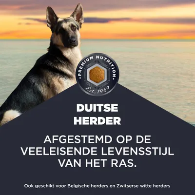 Premium Nutrition Est. 1969. Duitse herdershonden. Ook geschikt voor Belgische en Zwitserse witte herdershonden. Premium Nutrition Est. 1969. Duitse herdershonden. Ook geschikt voor Belgische en Zwitserse witte herdershonden.