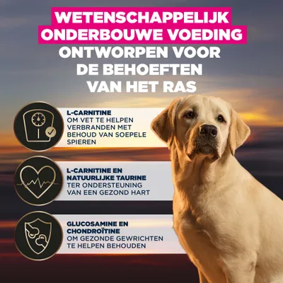 Wetenschappelijk onderbouwde voeding, ontwikkeld voor de behoeften van het ras. L-carnitine voor vetverbranding en spieren, taurine voor het hart, glucosamine en chondroïtine voor de gewrichten.