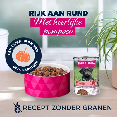 Eukanuba Puppy Rijk aan Rundvlees met Pompoen