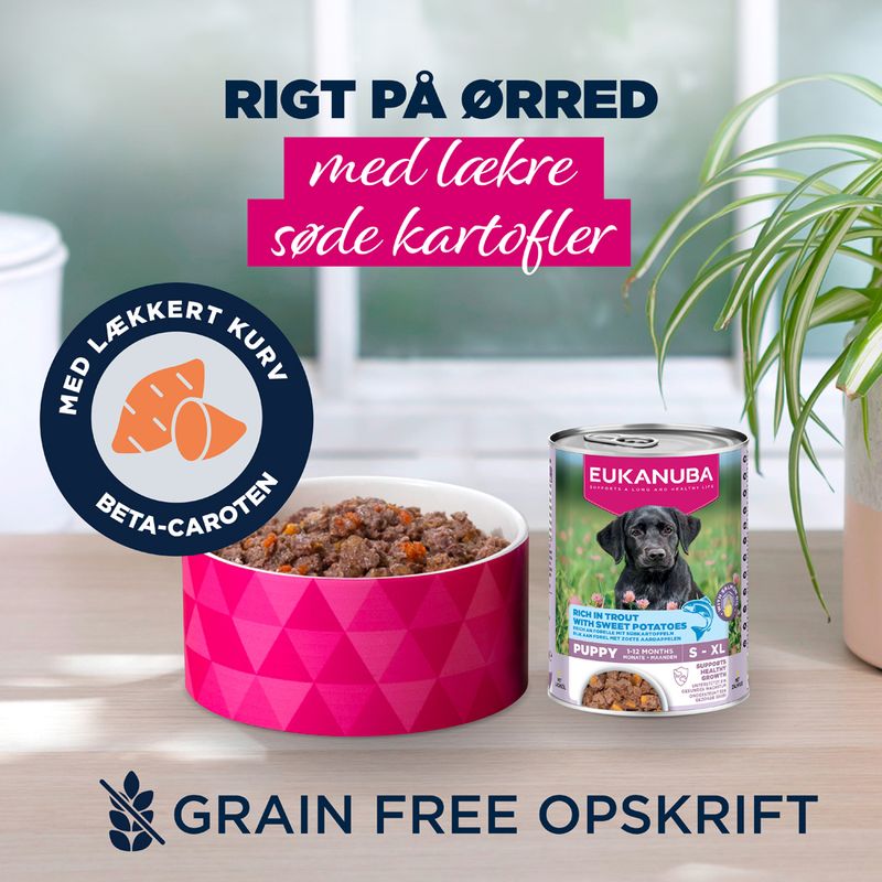 Eukanuba Puppy Rig på ørred med sød kartoffel
