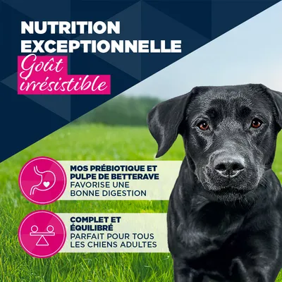 Eukanuba Adult Riche en dinde et carottes