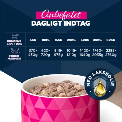 Eukanuba Senior Rig på lam med kartofler