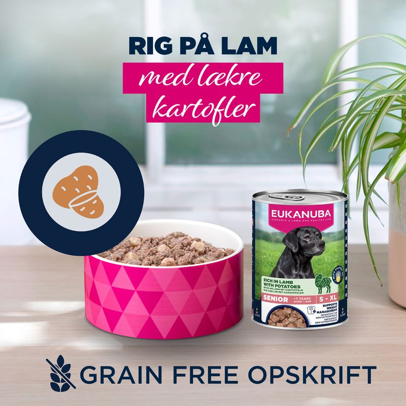 Eukanuba Senior Rig på lam med kartofler