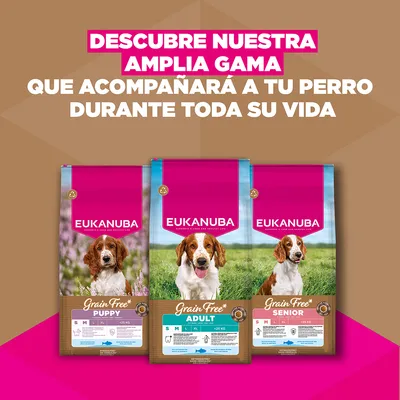 Eukanuba Grain Free Senior Small & Medium pescado de mar