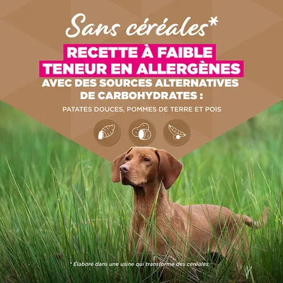 Eukanuba Grain Free Senior Large & Giant Poisson de mer
