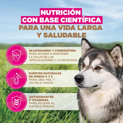 Eukanuba Senior Razas grandes sin cereales con pescado de mar