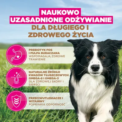 Eukanuba Grain Free Adult Small & Medium, kurczak