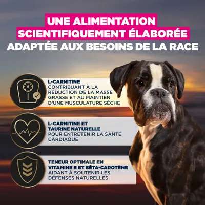L-Carnitine pour réduire la masse graisseuse et préserver la musculature, L-Carnitine et taurine pour la santé cardiaque, valeurs optimales en vitamines et bêta-carotène pour des défenses naturelles renforcées. L-Carnitine pour réduire la masse graisseuse et préserver la musculature, L-Carnitine et taurine pour la santé cardiaque, valeurs optimales en vitamines et bêta-carotène pour des défenses naturelles renforcées.